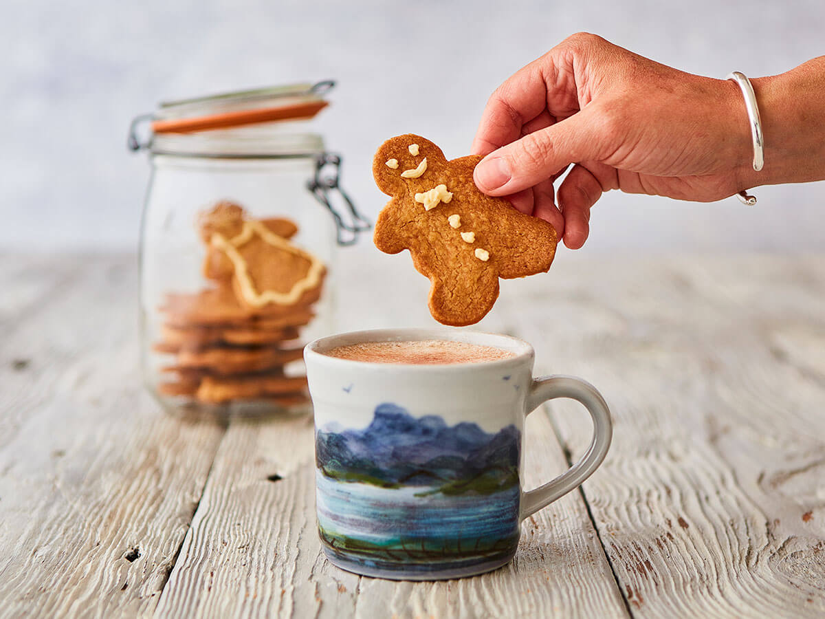 Horlicks gingerbread biscuits